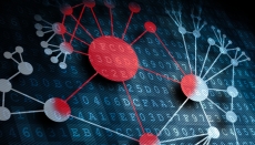 Attack Vectors and Attack Surfaces - what's the difference?